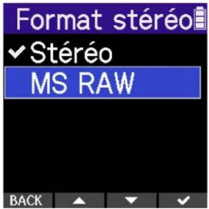 ZOOM H2 Essential - Enregistrement au format brut MS RAW - 3