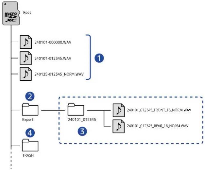 ZOOM H2 Essential - Structure des dossiers et fichiers - 1
