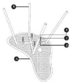 Fromm & Starck STAR_SEAT_13 - CONTENT | INHALT | TRESC | OBSAH | CONTENU | CONTENOU | CONTENIDO - 10