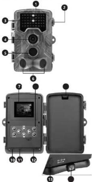 Stamony ST-HC-8000B - DE - 1
