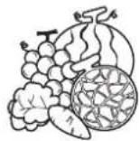 SIGNATURE SKSSB4202S - PRECAUCIÓN - 5