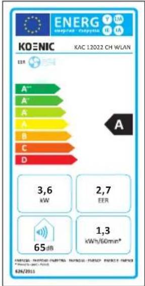 Koenic KAC 12022 WLAN - Informations requises - 3