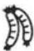 Koenic KAF 71523 B - Recommended frying times - 3