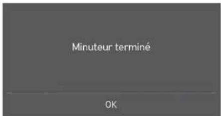 SIGNATURE SKSIT3601GE - Minuterie de cuisine - 2