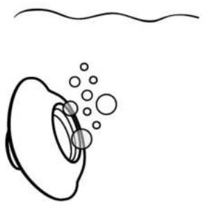 Womanizer Premium 2 - Et lite tips - 1