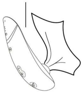 Womanizer Premium 2 - LIMPIEZA - 3