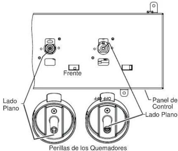 Café CGY366P2TS1 - PANEL DE CONTROL Y PERILLAS - 1