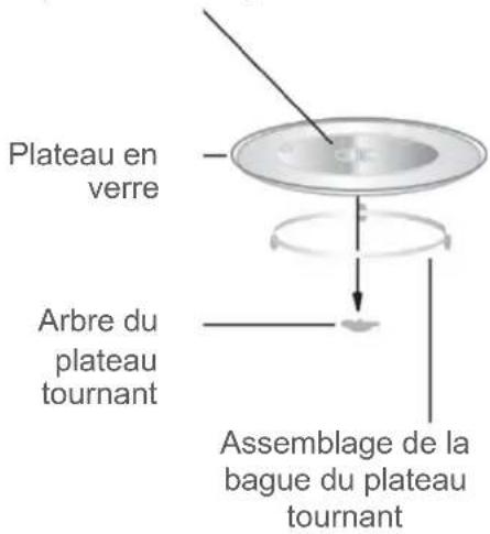 BLAUPUNKT 5M26F1530 - Installation du plateau tournant - 1