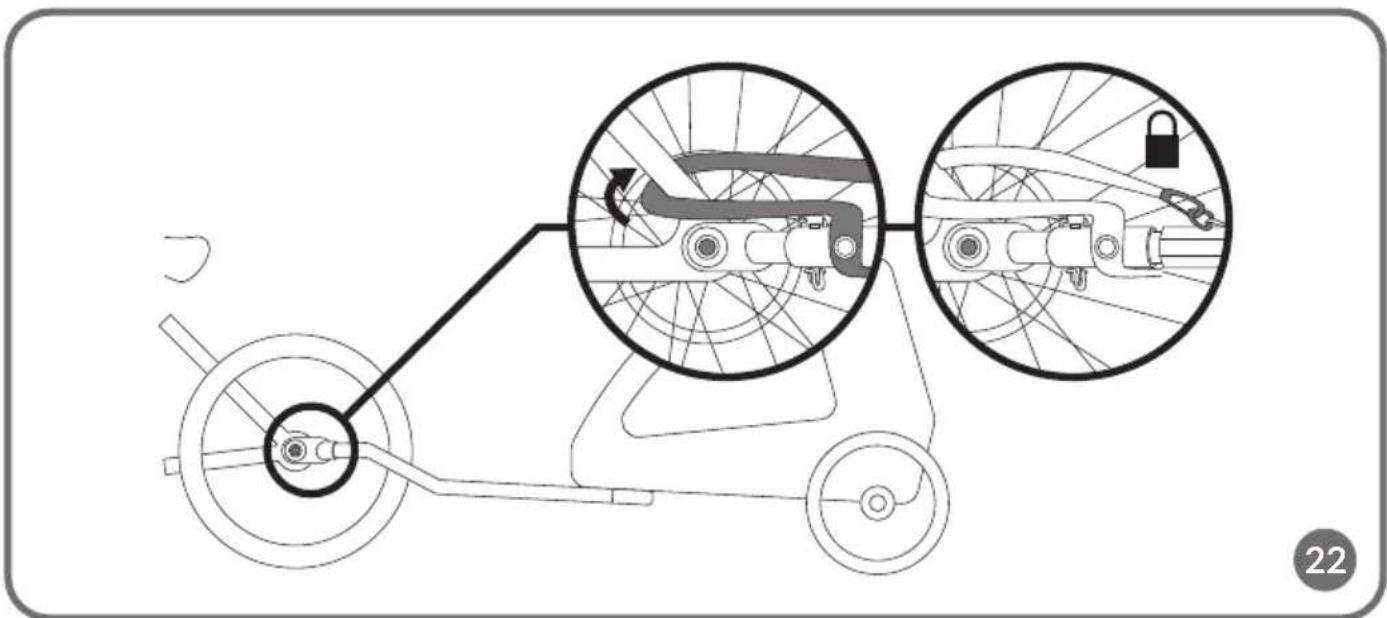 Lionelo Cama - 28