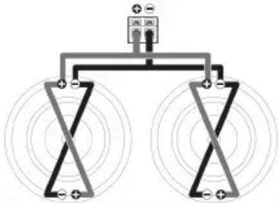 PHOENIX GOLD ZP12D2 - SUBWOOFER CONNECTIONS - 2