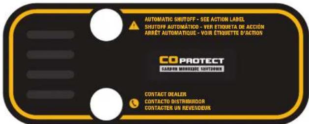 DEWALT DXGNR8000 - Información de mantenimiento - 5