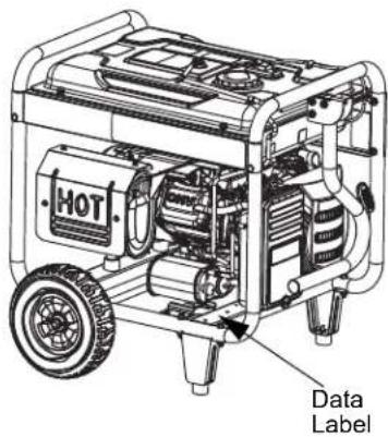 DEWALT DXGNR8000 - Service Information - 1