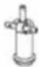 Physa Ardea - 6