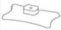 Physa Ardea - APPARATENS PLACERING - 5