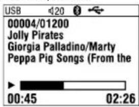 USB 20 00004/01200 Jolly Pirates Giorgia Palladino/Marty Peppa Pig Songs (From the 00:45 02:26
