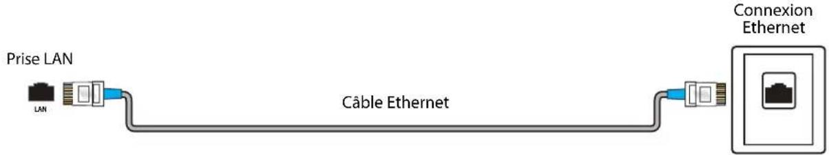 PIONEER PN40-551-24U - Connexion à l'Ethernet - 1