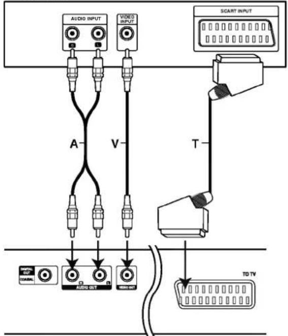 LG DV8900C - DVD Player Connections - 1