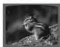SAMSUNG MM-DT8 - Appuyez rapidement sur ◀◀◀▶▶. - 4