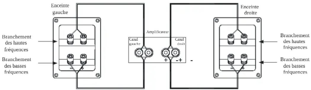 Enceinte gauche Branchement des hautes fréquences Branchement des basses fréquences Amplificateur Canal gauche Canal droit + - Enceinte droite Branchement des hautes fréquences Branchement des basses fréquences