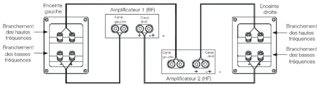 Enceinte gauche Branchement des hautes fréquences Branchement des basses fréquences Amplificateur 1 (BF) Canai gauche Canai droit + - - Amplificateur 2 (HF) Canai gauche Canai droit + - - Enceinte droite Branchement des hautes fréquences Branchement des basses fréquences