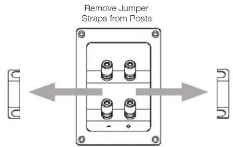 JBL 4309 - BI-WIRE AND BI-AMP CONNECTION: - 1