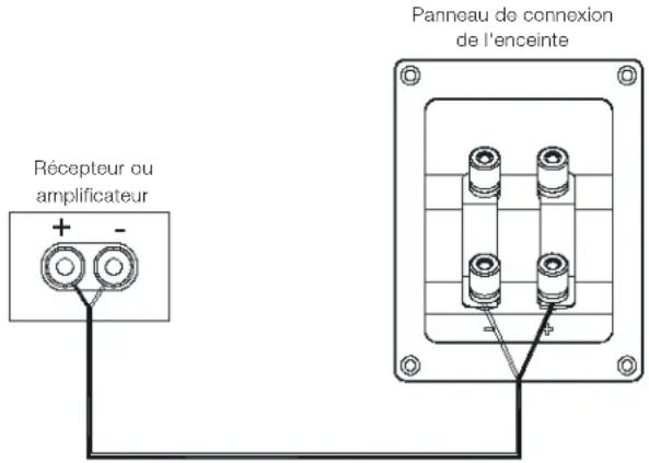 Récepteur ou amplificateur + - Panneau de connexion de l'enceinte