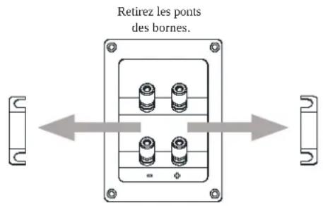 Retirez les ponts des bornes.