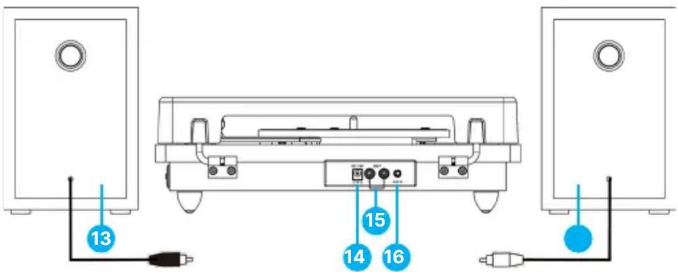 Majority Moto Plus - Back View - 1
