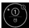 SIGNATURE SKSIT3001GE - Turning Melt On - 1