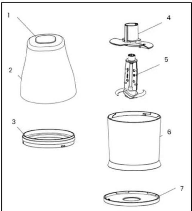 LIVOO DOP244 - Livoo - 1