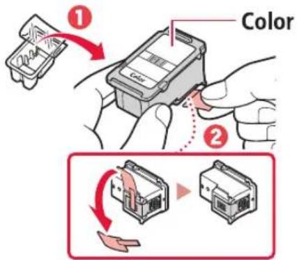 1 Color 2