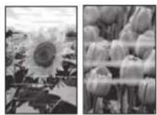 CANON PIXMA E3640 - Nalaganje papirja - 6