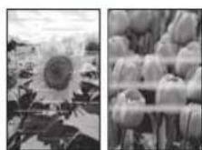 CANON PIXMA E3640 - If Print Results Are Unsatisfactory - 2
