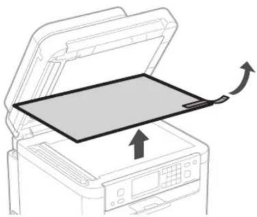 CANON i-SENSYS MF287dw - Configurar o batente de papel e o Painel de controle - 7