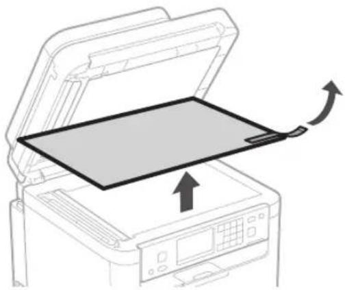 CANON i-SENSYS MF287dw - Maitinimo laido prijungimas - 12