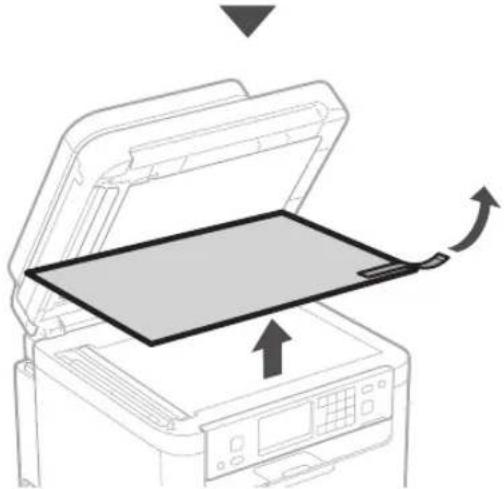 CANON i-SENSYS MF287dw - Ansluta strömkabeln - 9