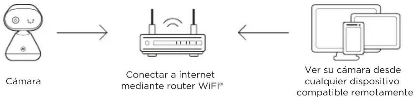 MOTOROLA PIP1000 Connect - Conectar a WiFi® usar la app Nursery - 1