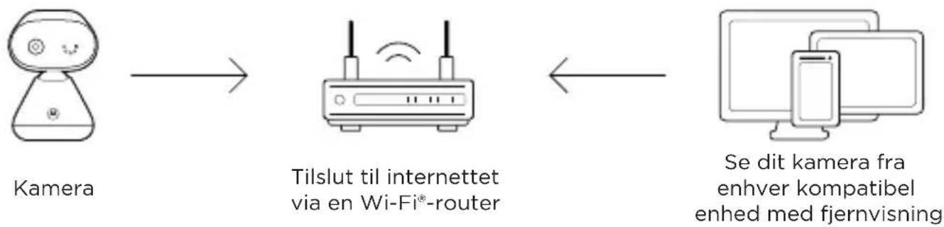 MOTOROLA PIP1000 Connect - Minimums-systemkrav for din enhed - 1