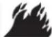 GE PFD95ESPWDS - WARNING - 1