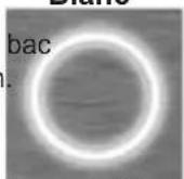 GE Profile Opal OPAL01GHWSS - Bouton - 3