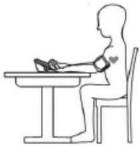 HOMEDICS BPA-P200 - WORLD HEALTH ORGANIZATION (WHO OF WERELDGEZONDHEIDSORGANISATIE) - 2