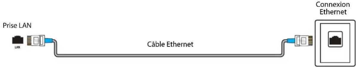 PIONEER PN24-551-24U - Connexion à l'Ethernet - 1