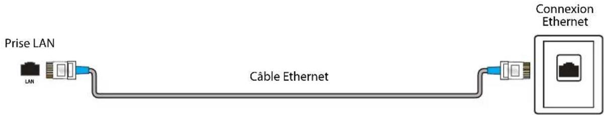 PIONEER PN43951-22C - Connexion à l'Ethernet - 1
