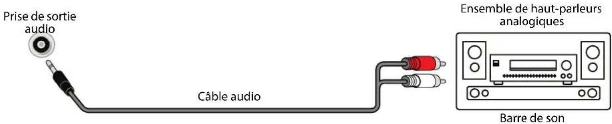 PIONEER PN50951-22C - Audio analogique - 1