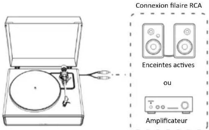 Connexion filaire RCA Enceintes actives ou Amplificateur