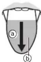 PANASONIC EW-DJ66 - ▶ Pulizia della lingua - 2