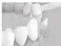 PANASONIC EW-DJ66 - Placez légèrement la pointe de la brosse sur les dents de travers. - 1