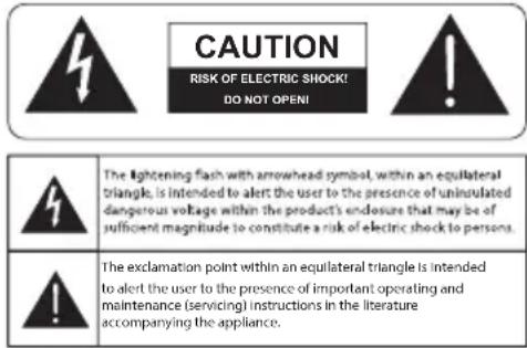 DEFINITIVE TECHNOLOGY Descend DNSub 10 - Instrucciones de seguridad - 1