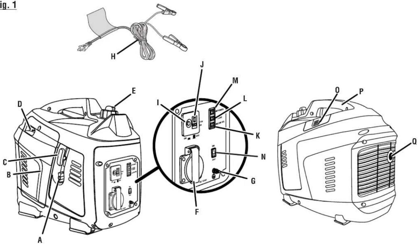 RYOBI RYi1000 - GUARDE ESTE MANUAL PARA FUTURAS CONSULTAS - 1