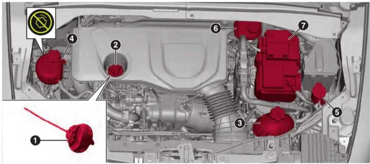 ALFA ROMEO Tonale (2025) - CONTRÔLE DES NIVEAUX - 2